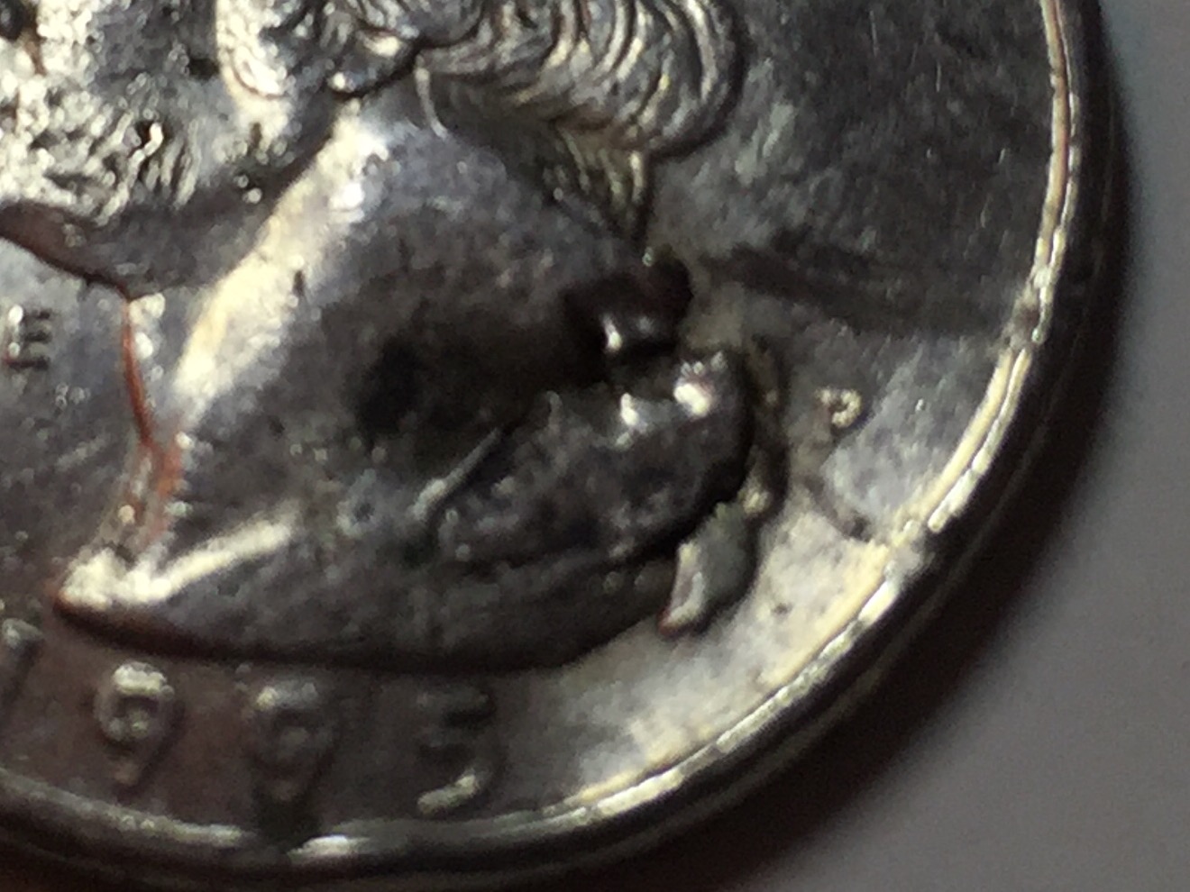 1995-P-Quarter:-Die-Clash?-Cud-Error?-Help!